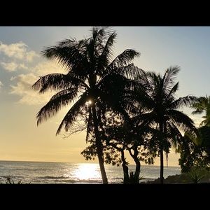 Meet your Posher, Jolene